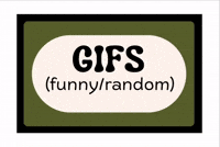 Gifsfunnyandrandomourpublicjournal GIF