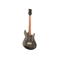theguitarmaster guitar germany netherlands diablo Sticker