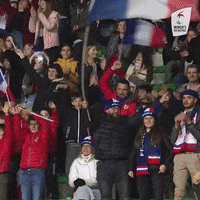Womens6Nations fan fans womens six nations GIF