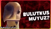 Kus GIF