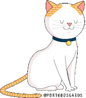Cat Paozinho Sticker by Porto dos Gatos