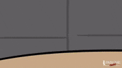 Meerkat GIF by L’Extase Cognac