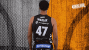Sport Basketball GIF by Basket_fi