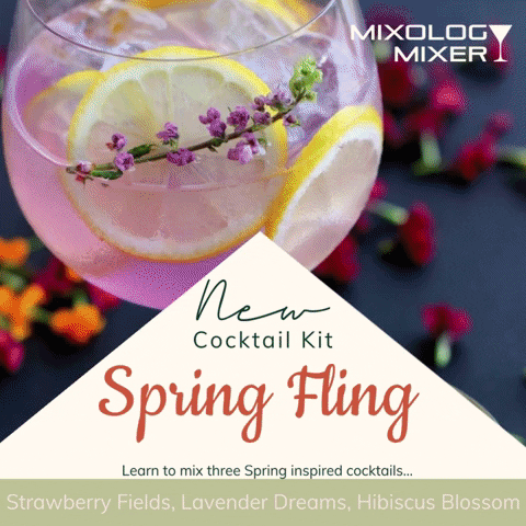 MixologyMixer giphygifmaker virtual events virtual happy hour spring fling GIF