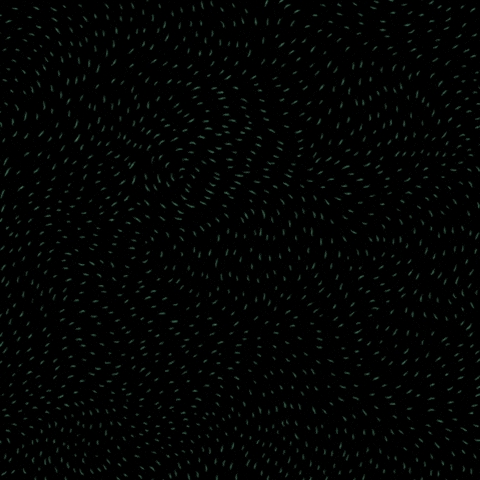 Text gif. Concrete-textured block letters animated to say "Say, his, name, his name was, Tyre, Nichols" against a dark speckled background.