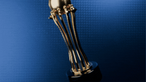 Charrosbaseporbola GIF by Charros de Jalisco