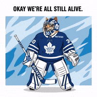 Toronto Maple Leafs Hockey GIF by Doge Pound