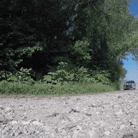 Send It Good Bye GIF by FIA European Rally Championship
