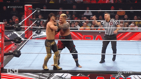 Wwe Wrestling GIF by USA Network