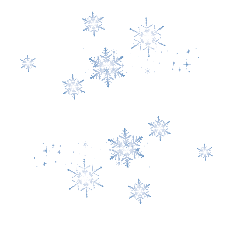 Winter Snowflakes Sticker by Zaungaeste