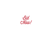 Hollydays Sticker by Juniorleaguebr