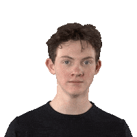 Disney Themepark Sticker