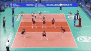 Happy Jump GIF by Volleyball World
