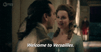 Welcome to Versailles