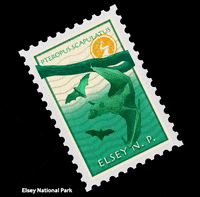 NortherHQ australia stamp bats stamps GIF
