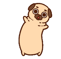 April Fools Dog Sticker by Puglie Pug