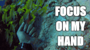 scuba GIF