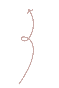 Pink Beauty Sticker by XOUL
