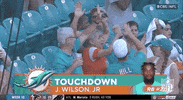 Miami Dolphins Football GIF by NFL