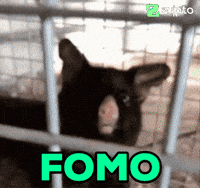 ZyptoPower excited crypto bitcoin bull GIF