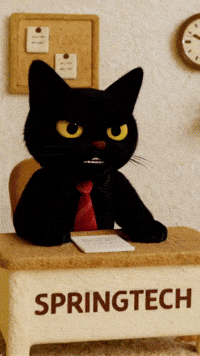 Black Cat GIF