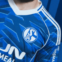 Football Soccer GIF by FC Schalke 04