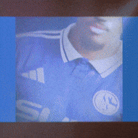 Football Soccer GIF by FC Schalke 04