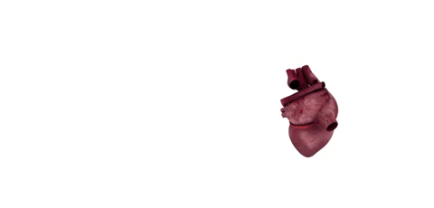 mediamodifier giphygifmaker heart life blood GIF