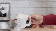 GIF by Kolkata Chai Co.