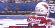 Regular Season Football GIF by NFL