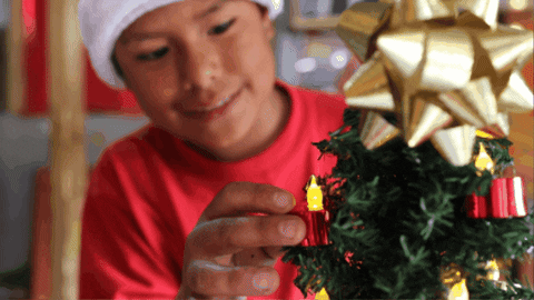 Christmas Tree GIF by Compassion