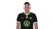 E Sports Sport Sticker by VfL Wolfsburg