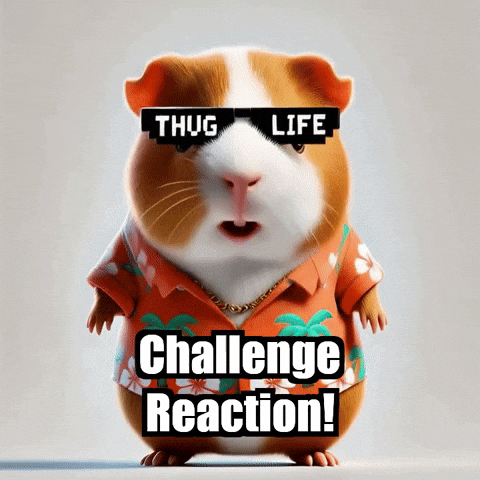 Guinea Pig GIF by Guinea Gambino