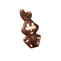 decacaustore bunny chocolate cocoa pascoa Sticker