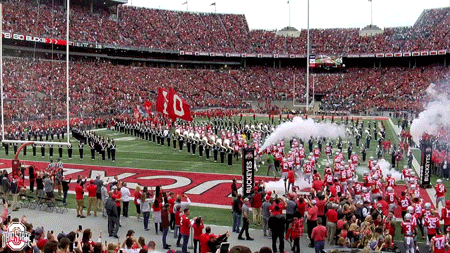 ncaa sports GIF by Ohio State Athletics