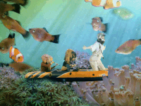 sea fish GIF by Declan McKenna