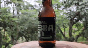 GIF by canalbrasil
