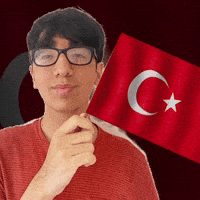 Turkish Flag Pride GIF