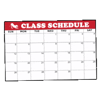 Schedule Dog Training Sticker by SchoolForTheDogs