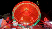 Park GIF by Linz News