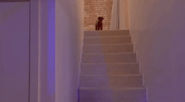 witness world wide #kpwww GIF by Katy Perry