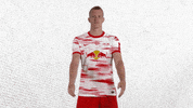 Come Here GIF by RB Leipzig