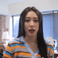 K Pop Silence GIF