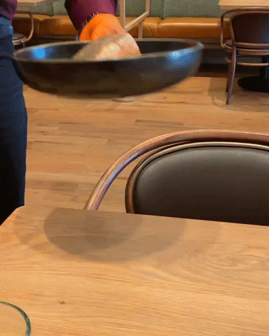 horgejernandez giphyupload GIF