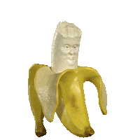 Summer Loop Sticker by jellygummies