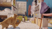Growing Up Rock GIF by Epitaph Records