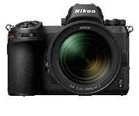 Nikon Debrajphotographynikon Sticker by NikonIndia