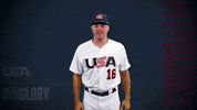 Pro GIF by USA Baseball