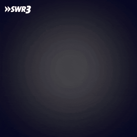 Merry Christmas Holiday GIF by SWR3