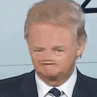 trump GIF